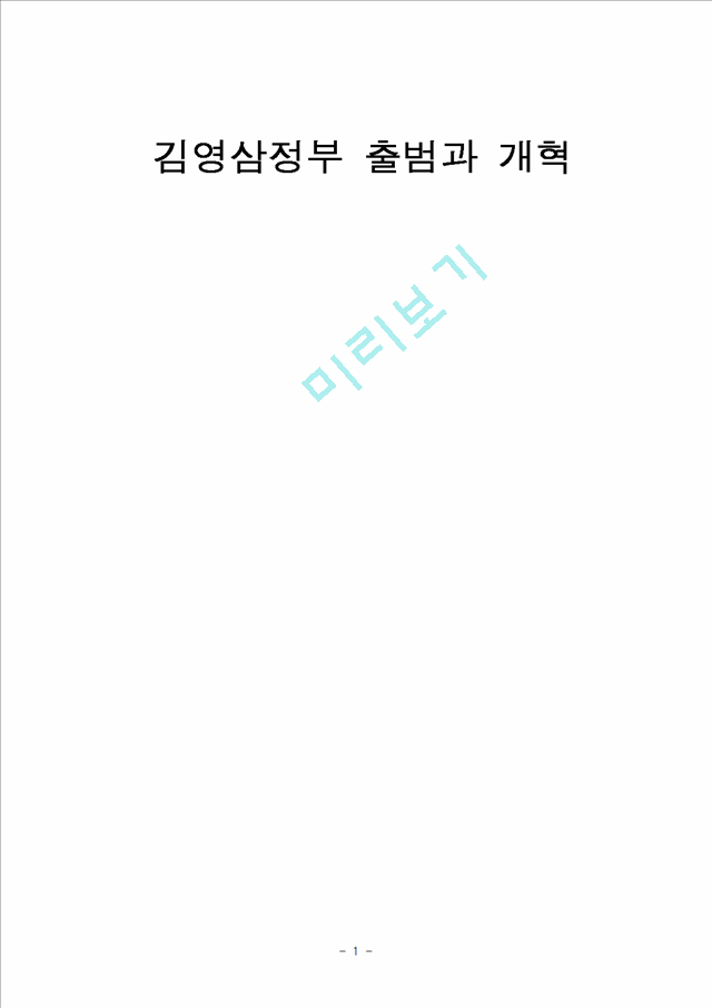 김영삼정부 출범과 개혁   (1 페이지)